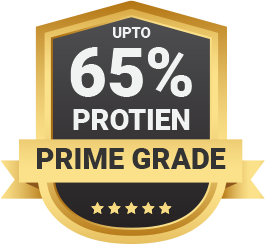 Fish meal manufacturer facility in Mangalore
