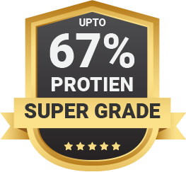 Fish meal manufacturer facility in Mangalore